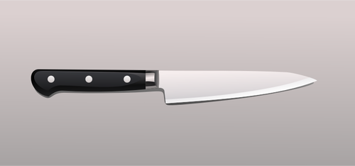 रसोई के चाकू