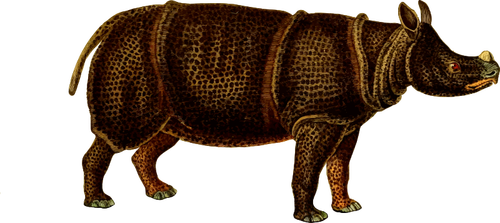 Носорог векторное изображение