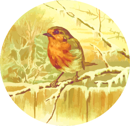 Robin afbeelding