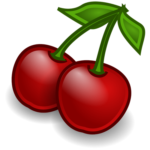 Cerises vector illustration