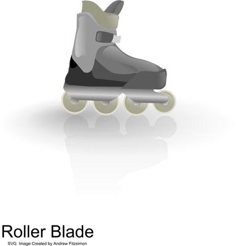 Vector illustration of color rollerblades with shadow