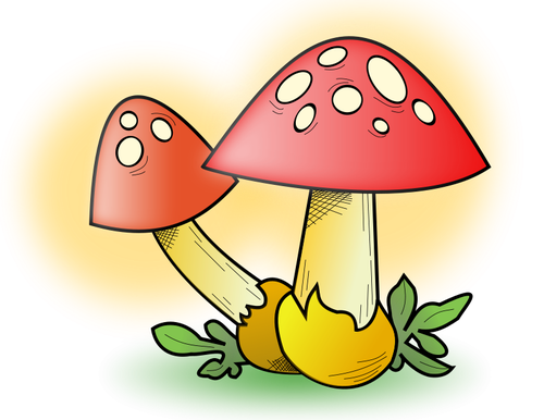 Mushroom vector graphics