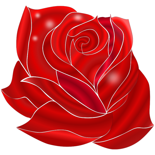 Ilustração de florescência rica rosa vermelha