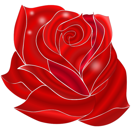 Illustration of blooming rich red rose