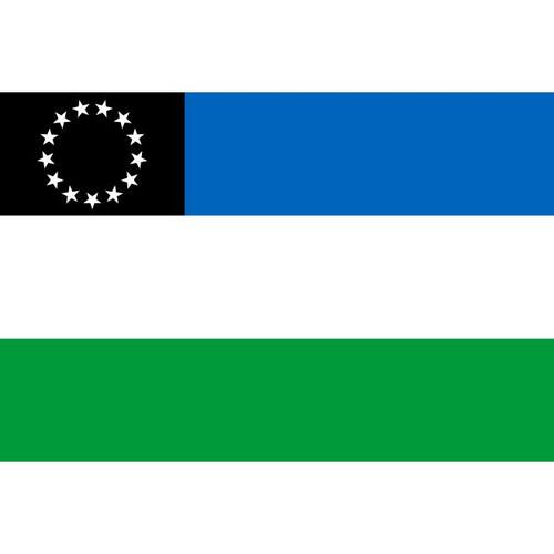 리오 흑인의 국기