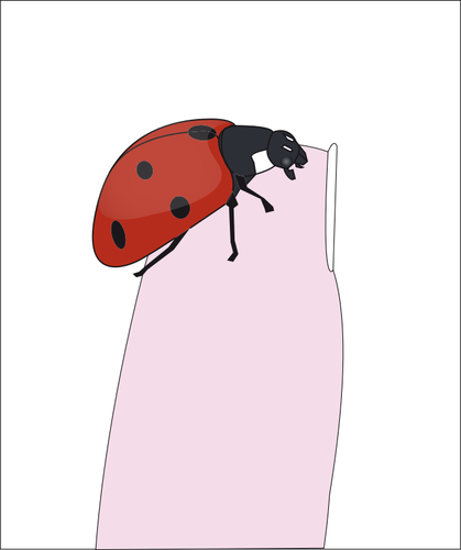 Coccinella sulla punta delle dita