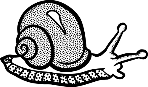 Spotty snail line art vector image