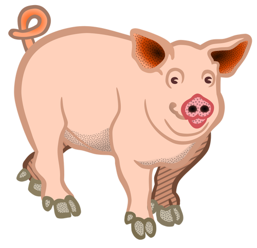 Pig domestic animal