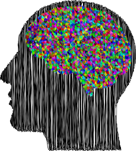 プリズムの人間の脳