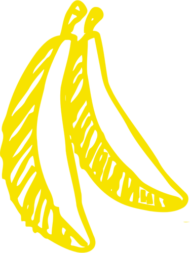 스케치 된 바나나