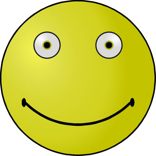 Overzicht smiley