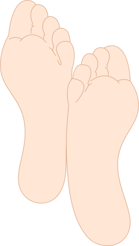 人間の足のベクトル画像