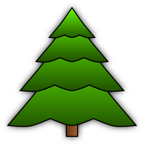 Evergreen tree image