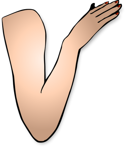 Vektoripiirros kyynärpäästä taivutetysta naisen käsivarresta