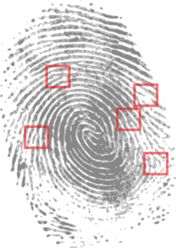 Forensic detection