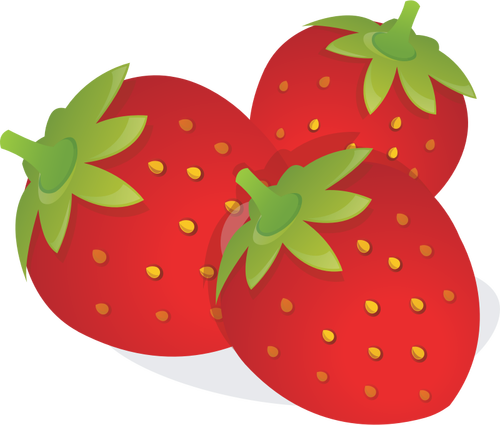 Jordbær