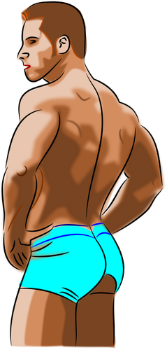 Vector illustration of body builder