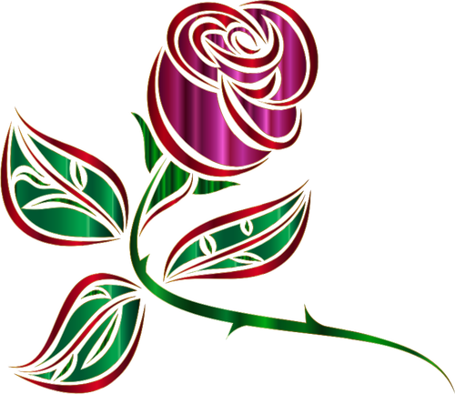 Glänsande dekorativa rose
