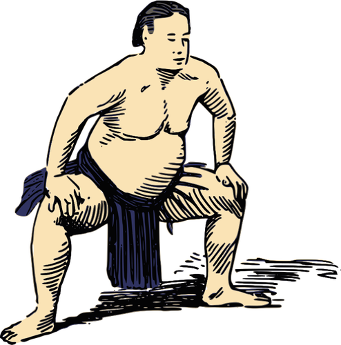 Imagine de luptator sumo