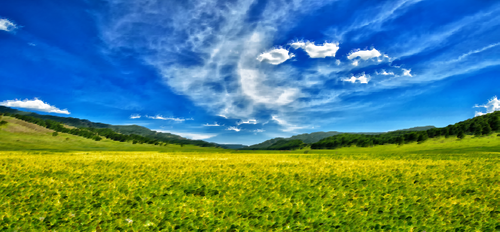 Vår äng och blå himmel