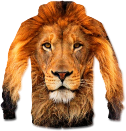 Lion wind jacket