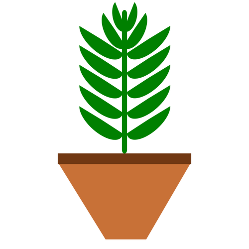 鉢植えの植物