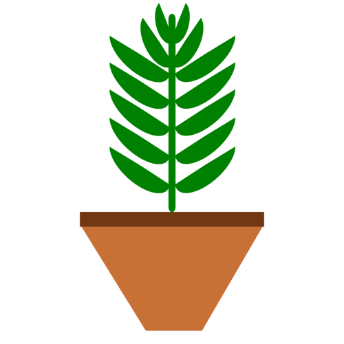 Potted plant