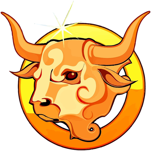 Taurus laranja