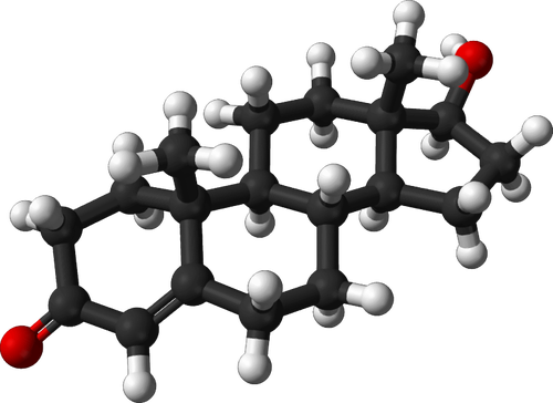 Molécula de testosterona 3d