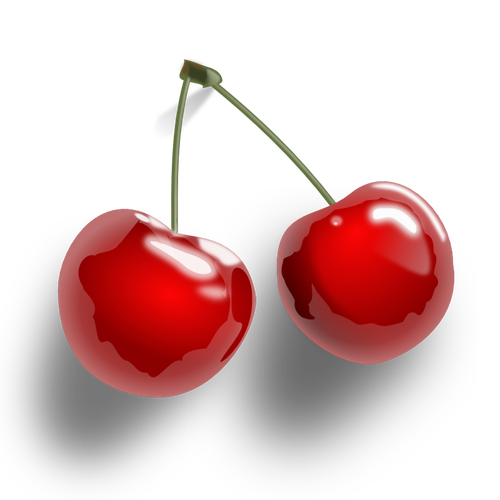 Cherries vector graphics download