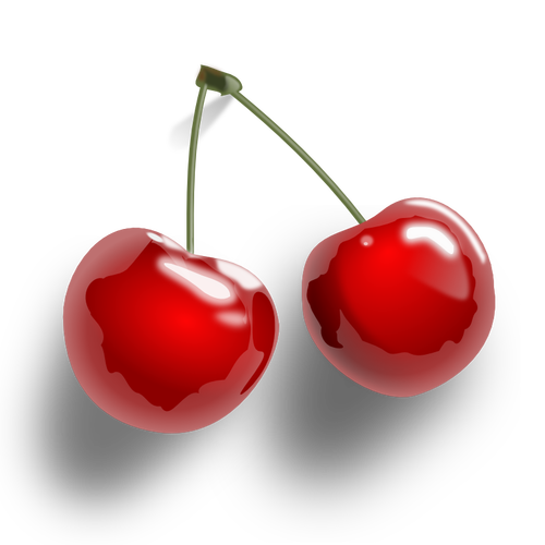 Cherries vector graphics download