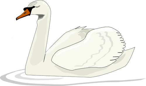 Vettore di nuoto Swan