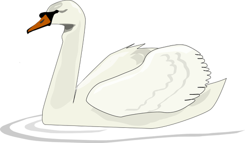 Swan svømming vektor