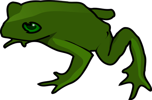 Frog vector art