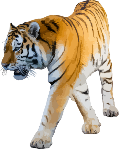 Ilustración de vector de tigre