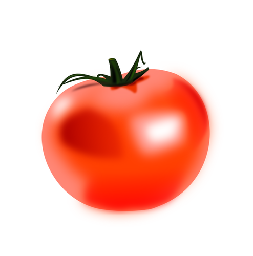 Glossy tomato vector image