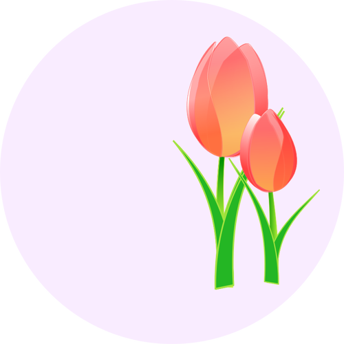 Vector afbeelding van een tulpen