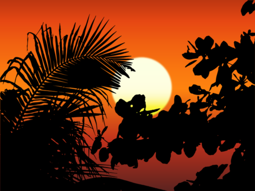 Sunset silhouette