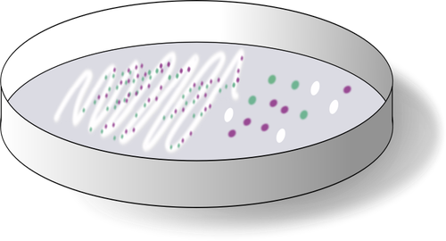 Kromogeeniset tietovälineet, joissa on kolonioita levyvektorin ClipArt-kuvalla