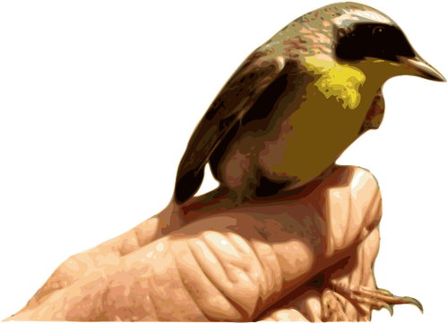 एक हाथ वेक्टर ग्राफिक्स पर पीले गले पक्षी