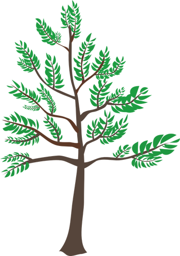 Ilustração de árvore de cedro jovem