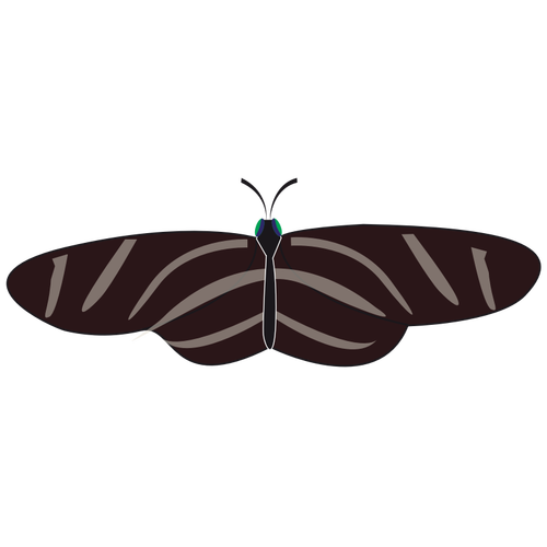 ゼブラ蝶のベクトル描画