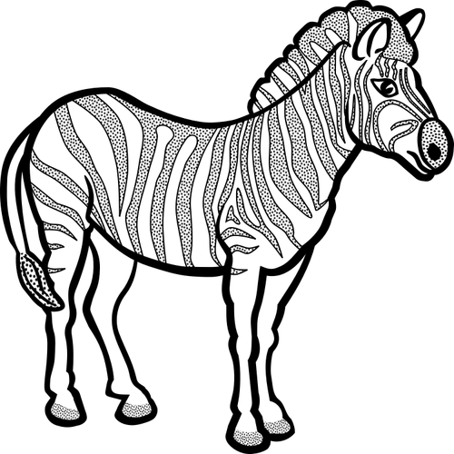 Zebra in black and white vector drawing