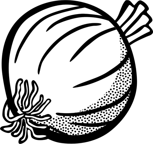 Image of onion in black and white