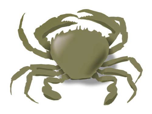 Vector drawing of crab