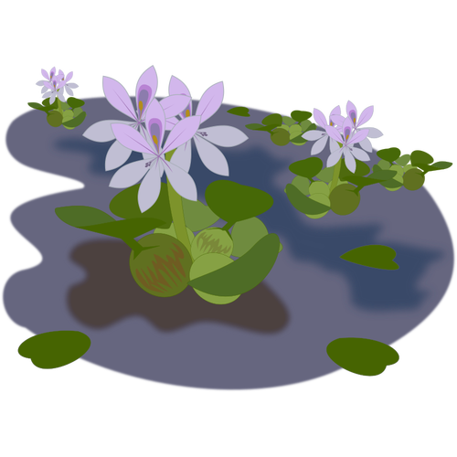 Violetti kasvi