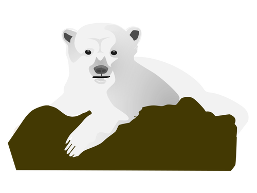 Oso polar vector imagen