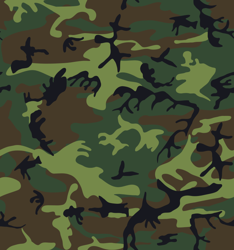 Camouflage army print vector image