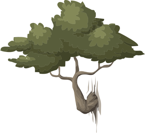 Gałąź drzewa