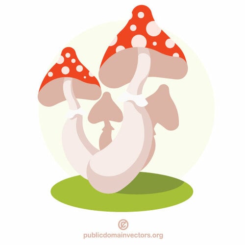 Voler agaric